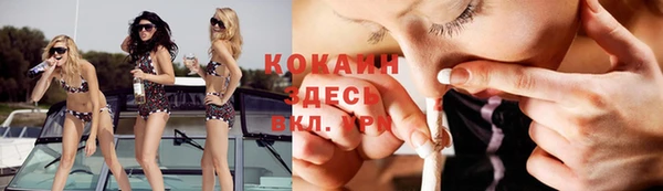 винт Коряжма