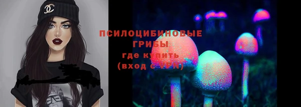 винт Коряжма