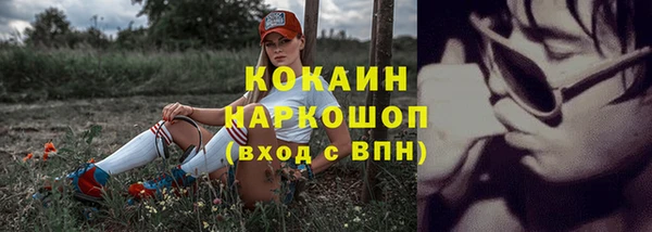 винт Коряжма