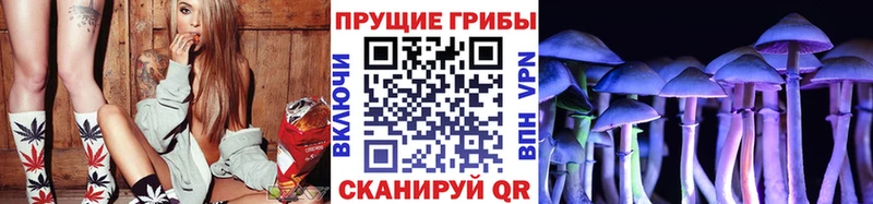 Галлюциногенные грибы прущие грибы  Купить где  Семёнов 